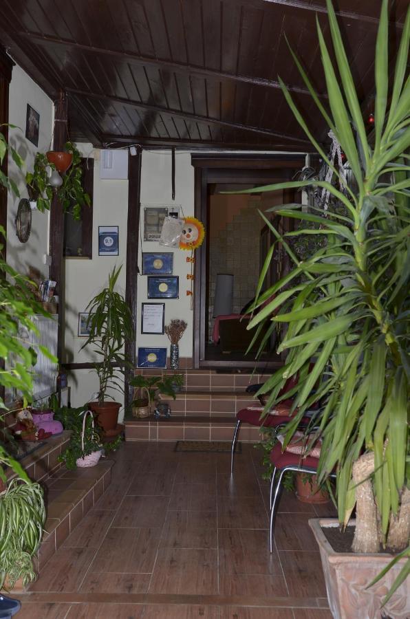 Limo House Apartment *